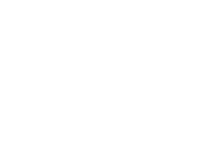 logo-napa-boats.png